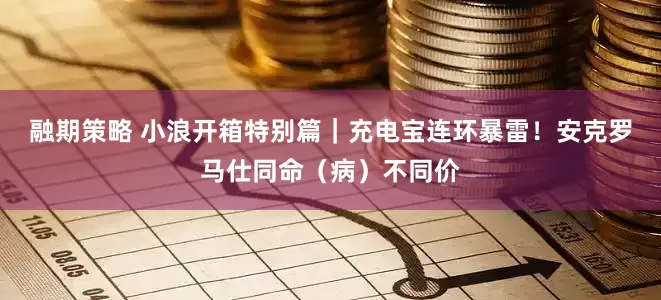 融期策略 小浪开箱特别篇｜充电宝连环暴雷！安克罗马仕同命（病）不同价