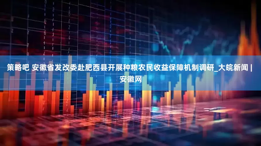 策略吧 安徽省发改委赴肥西县开展种粮农民收益保障机制调研_大皖新闻 | 安徽网