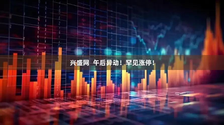 兴盛网  午后异动！罕见涨停！