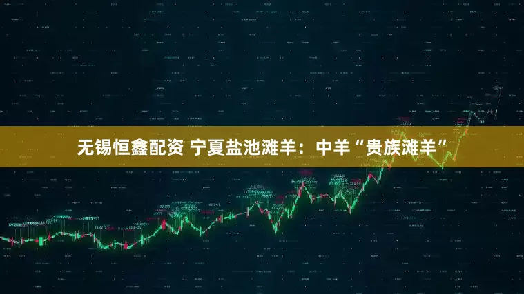 无锡恒鑫配资 宁夏盐池滩羊：中羊“贵族滩羊”