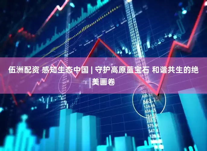 伍洲配资 感知生态中国 | 守护高原蓝宝石 和谐共生的绝美画卷