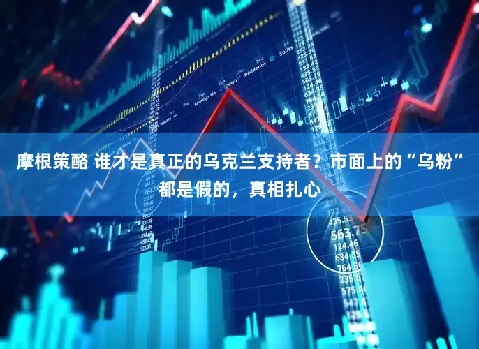 摩根策酪 谁才是真正的乌克兰支持者？市面上的“乌粉”都是假的，真相扎心