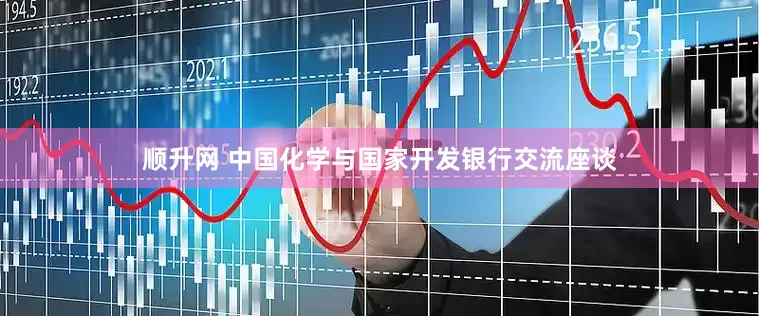 顺升网 中国化学与国家开发银行交流座谈