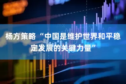 杨方策略 “中国是维护世界和平稳定发展的关键力量”
