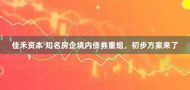 佳禾资本 知名房企境内债券重组，初步方案来了