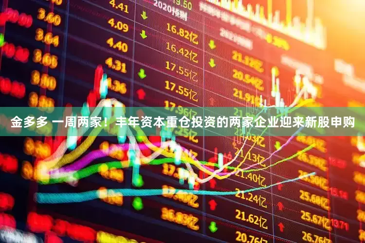 金多多 一周两家！丰年资本重仓投资的两家企业迎来新股申购