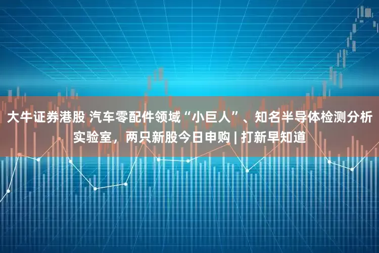 大牛证券港股 汽车零配件领域“小巨人”、知名半导体检测分析实验室，两只新股今日申购 | 打新早知道
