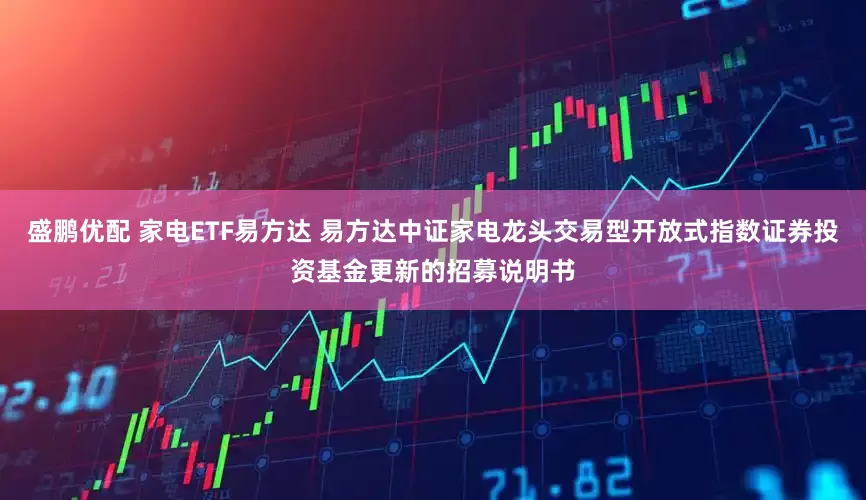 盛鹏优配 家电ETF易方达 易方达中证家电龙头交易型开放式指数证券投资基金更新的招募说明书